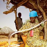 afrika