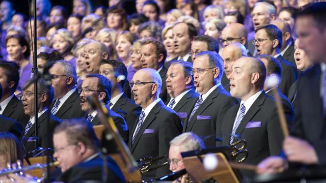 Motab_Evropa_8