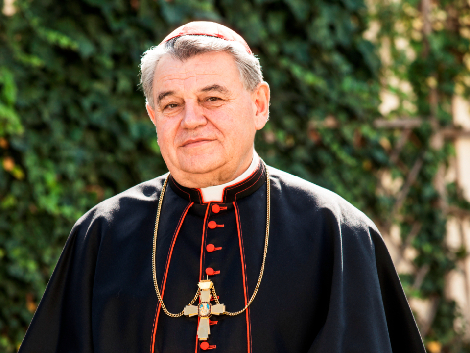 kardinal-Dominik-Duka